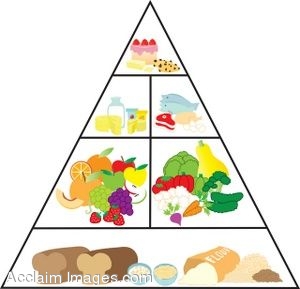 Food Pyramid